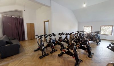 DynamiX Fit 3D Model