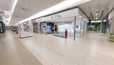 Lotus Center 3D Model