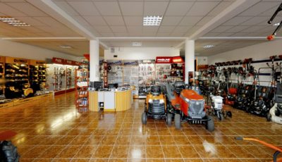 PRIMUSVEST | Decebal 3D Model